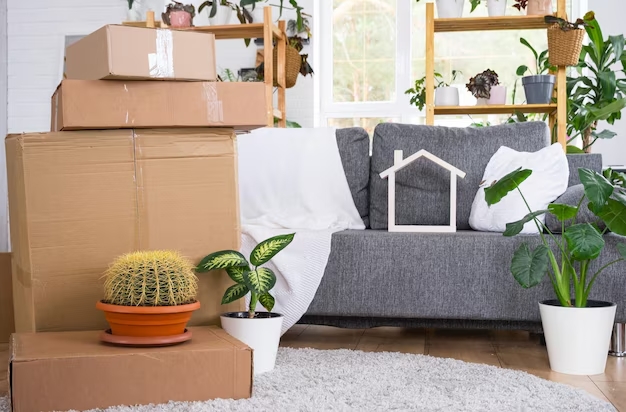 Що являє собою професійний квартирний переїзд?